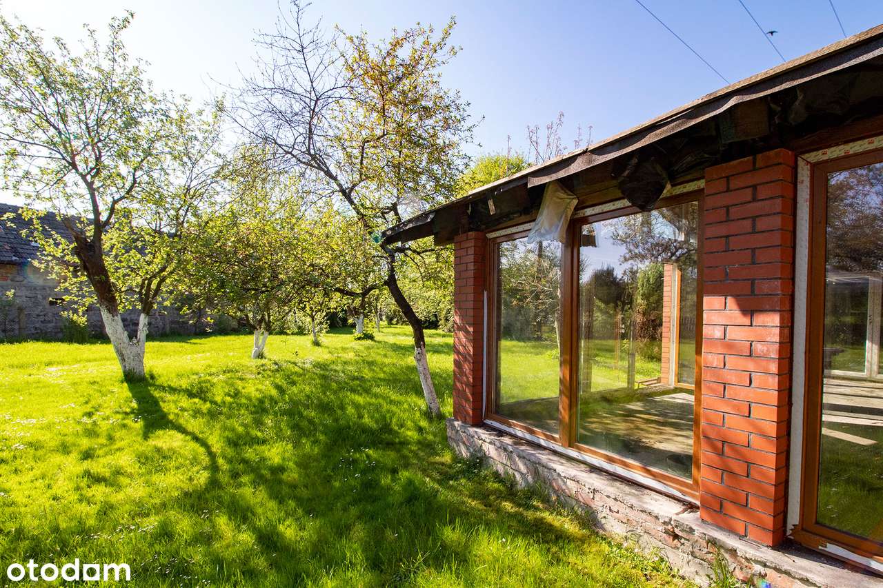 Duża działka! - Pełny obrazek: 4/20