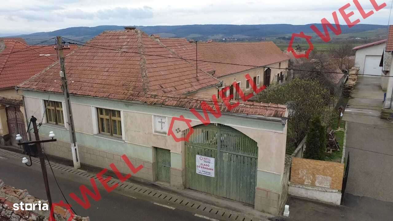 De vânzare casă familială în loc.Ormeniș - Imagine principală: 4/18