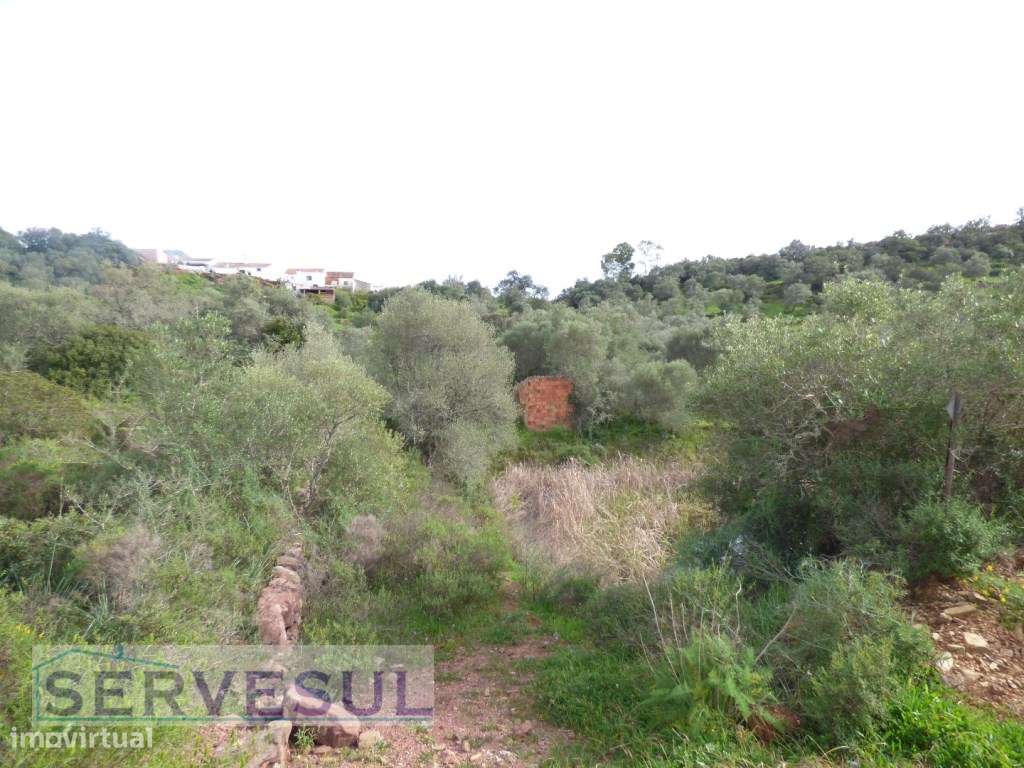 Casa térrea geminada para restaurar com 2 quartos, terreno de 2880m... - Grande imagem: 4/24