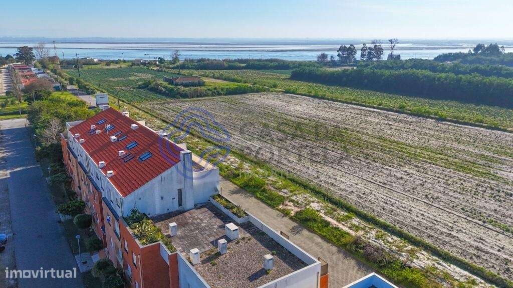 T4 _ Torreira - Grande imagem: 2/43