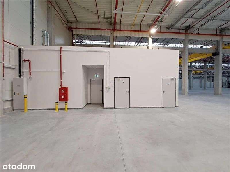 Nowoczesny obiekt magazynowo-produkcyjny przy tras - Pełny obrazek: 3/8