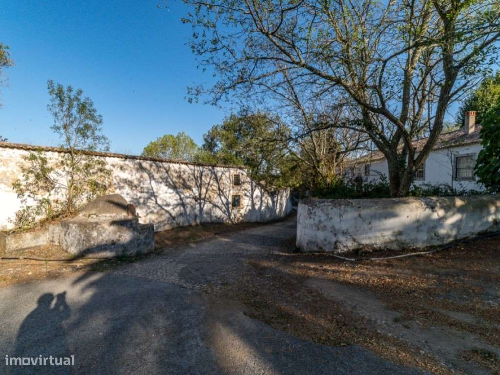 Propriedade - Freiria - Sobral Monte Agraço-18