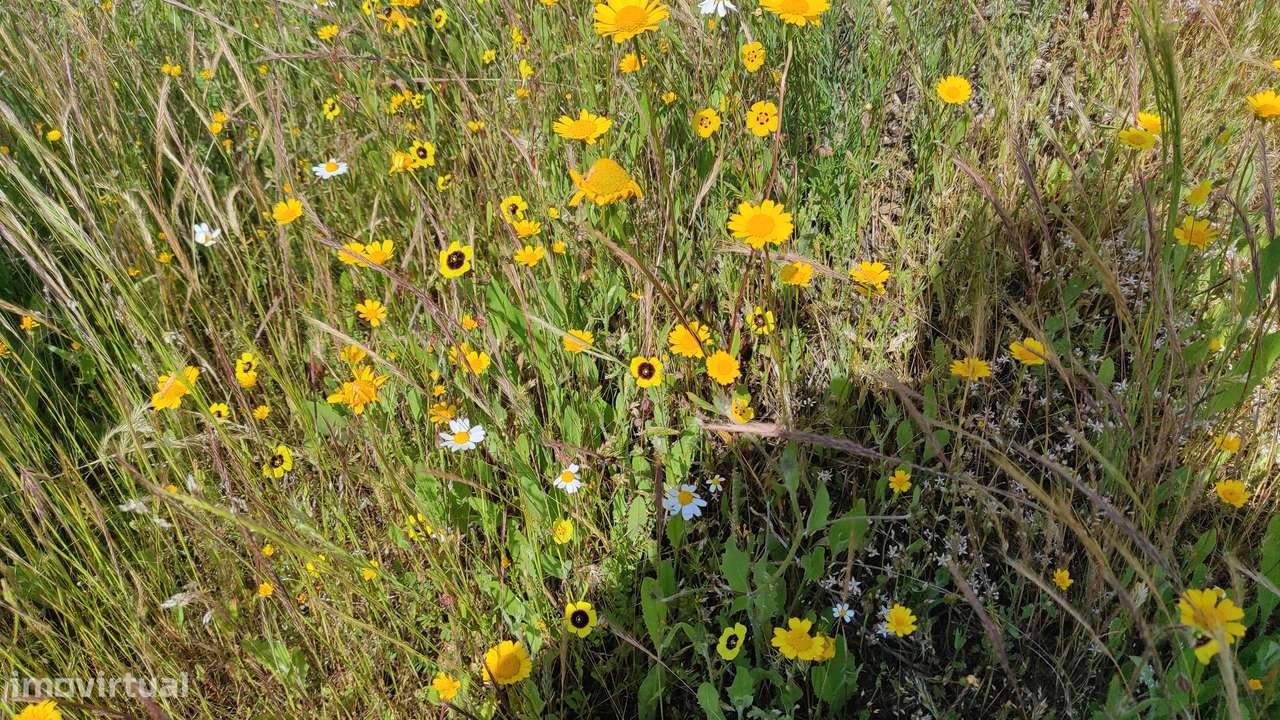Quinta com Vista para a Serra da Estrela – Um Refúgio Natural-13