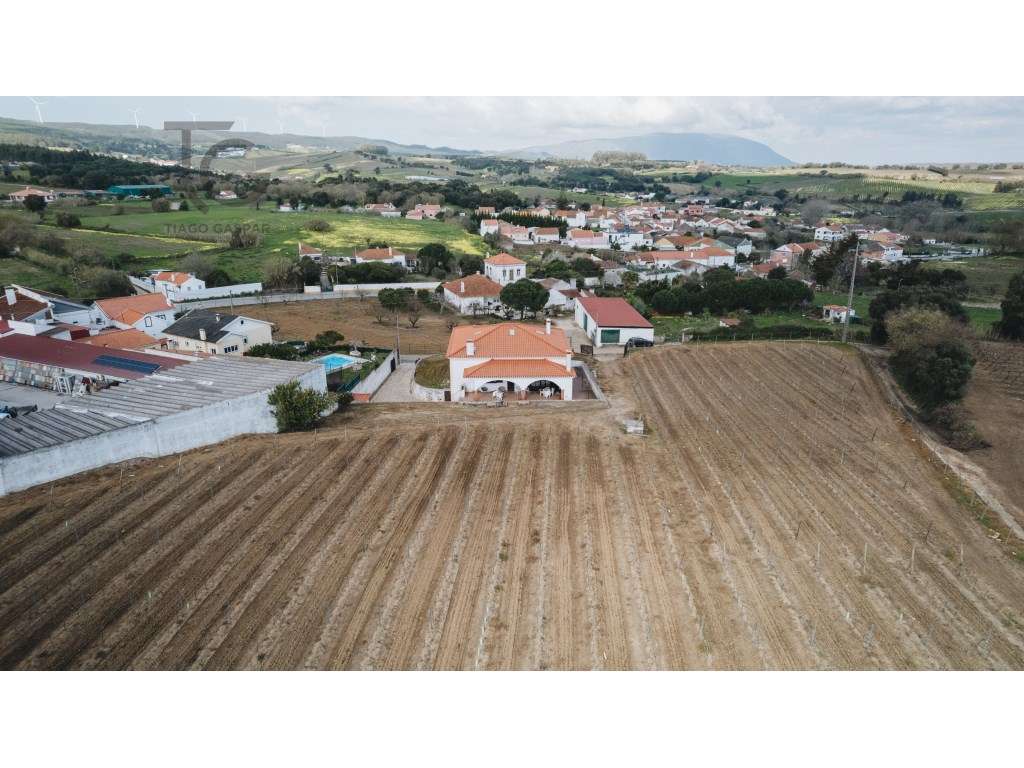 Moradia T3 com Terreno 10.000m² e Vinha em Produção | Arneiro - Tor...-32