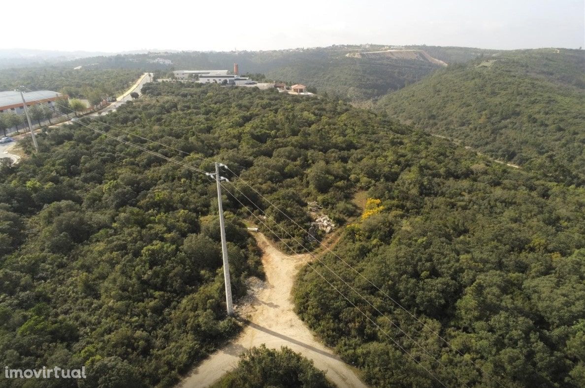 Terreno Rústico na preferia da fantástica Cidade de Fátima