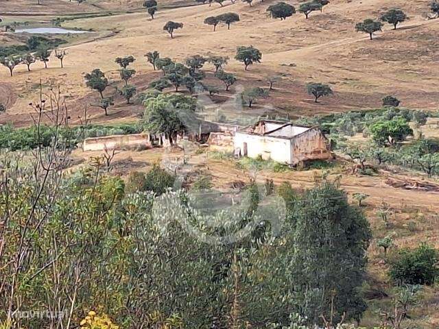 Quinta junto ao Alqueva-7