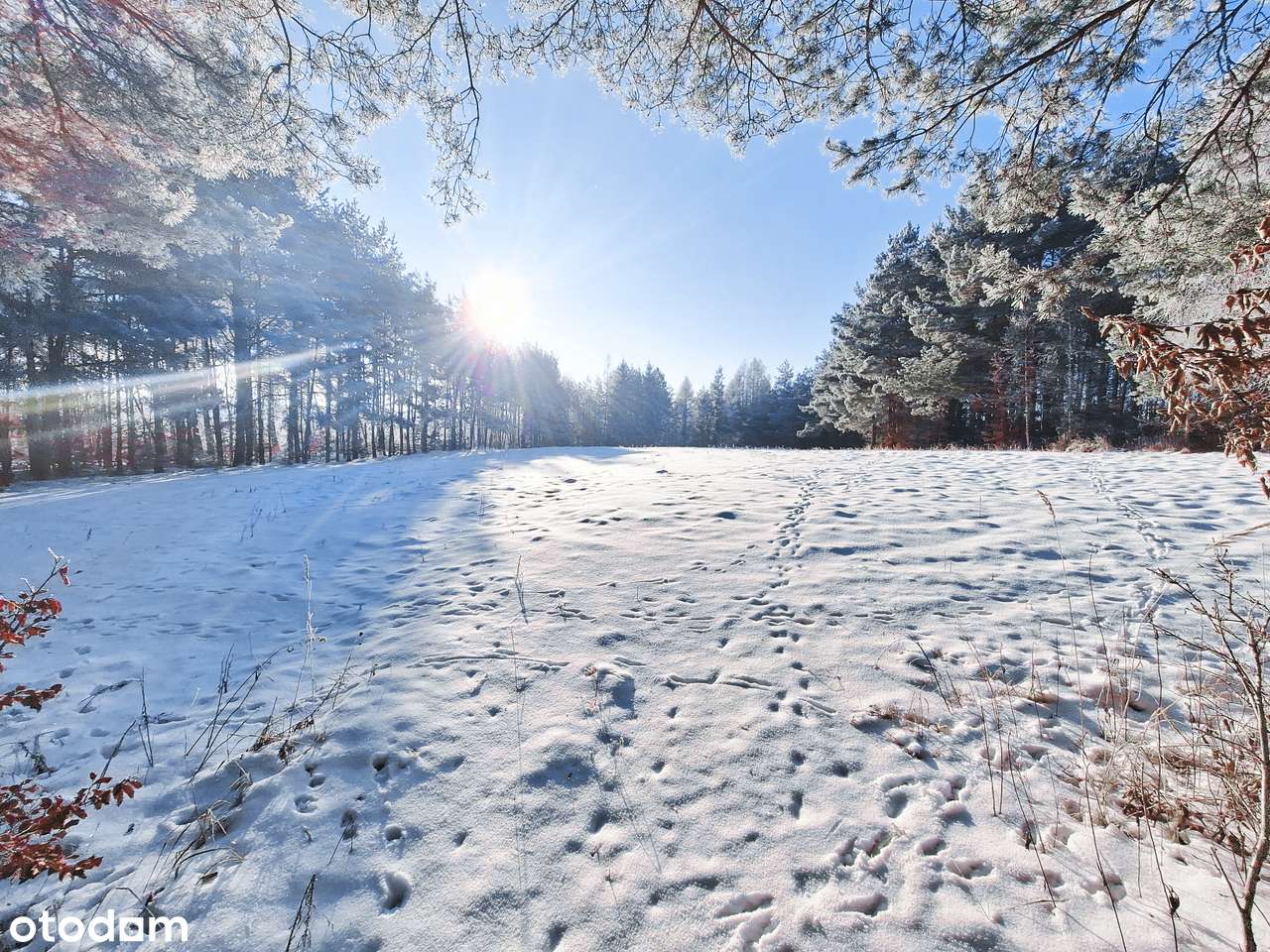Wyjątkowa działka nad jeziorem – zjawiskowy widok, cisza i las!-11
