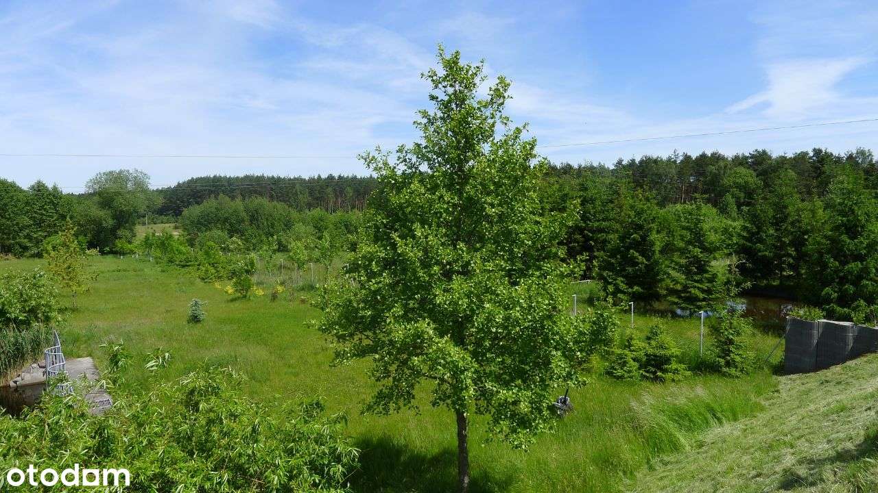 Piękna działka Puszcza Zielonka Biskupice Bugaj-3