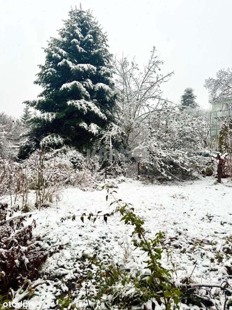 ok. Stadionu Olimp. Mickiewicza, p. Szczytnickiego-1