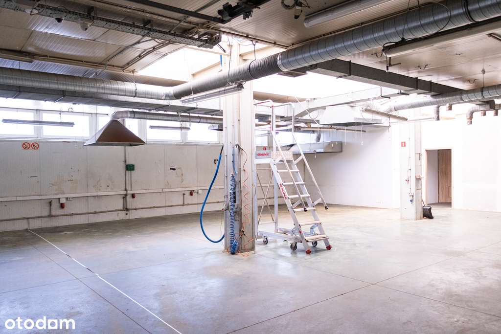WYNAJMĘ HALĘ PRODUKCYJNO-MAGAZYNOWĄ - Pełny obrazek: 5/20