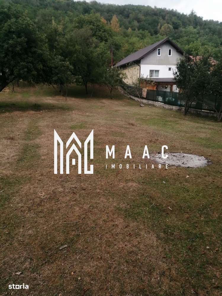 Teren Intravilan 10.000 mp | Livadă + Pădure de salcâm | Bărbătești-3