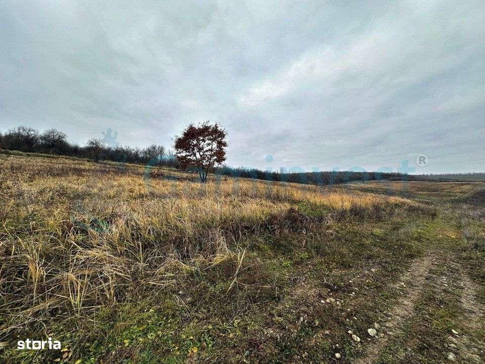 Gaminvest-Teren intravilan, priveliste spre lac, Saldabagiu V3921 - Imagine principală: 5/5