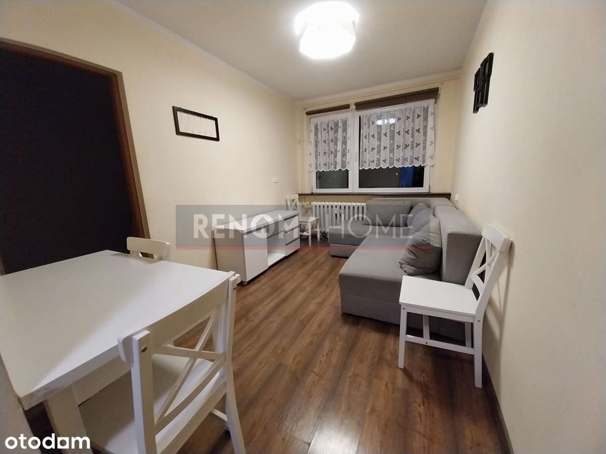 Na sprzedaż, 2 pokoje, balkon, piwnica! - Pełny obrazek: 1/17