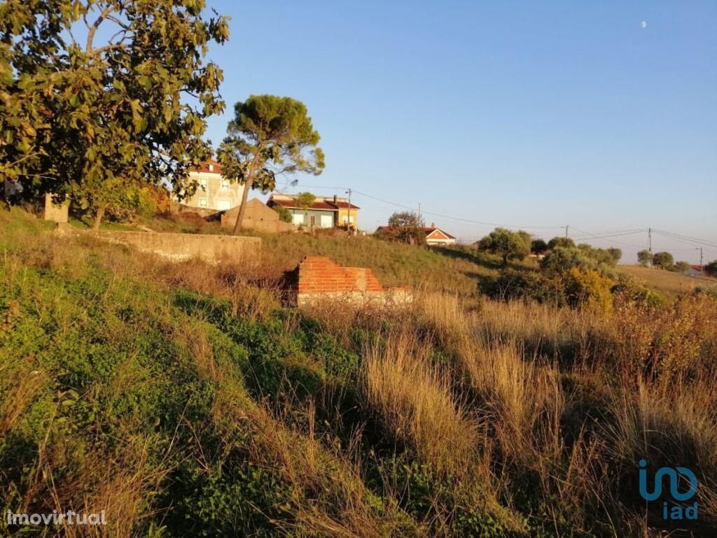 Casa / Villa em Santarém de 60120,00 m2