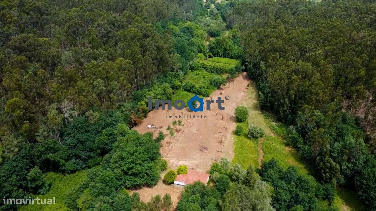 Quinta/Moradia em Pedra com 5.500 m² de Terreno em Fornelos – Ponte-4