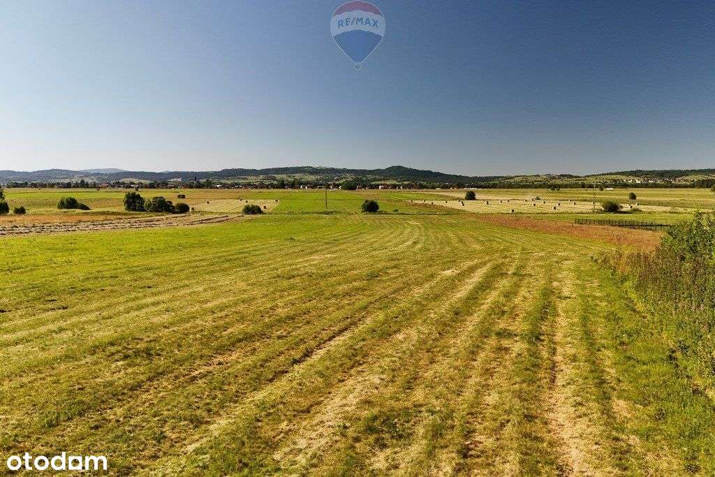 Działka do dzierżawy Wróblówka gm. Czarny Dunajec - Pełny obrazek: 5/12