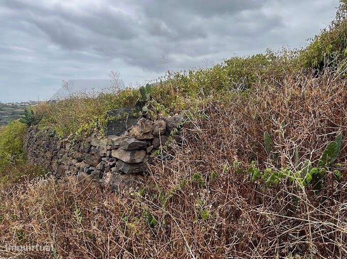 Terreno em Gaula I Construa a sua casa de Sonho-16