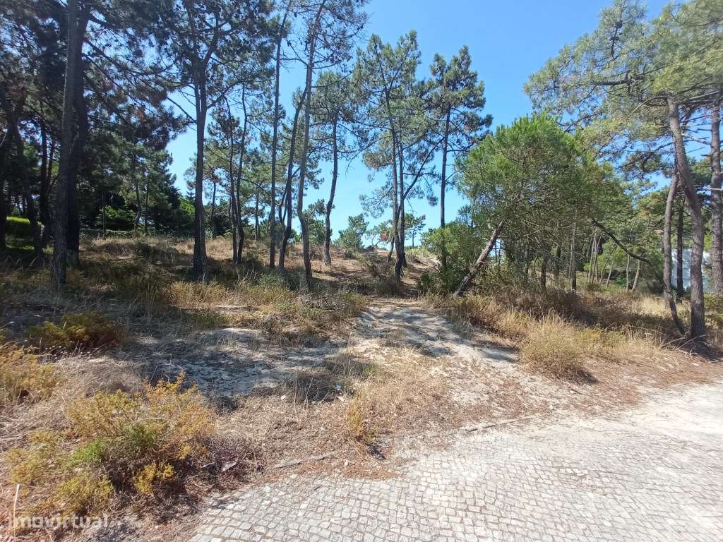 Terreno Troia - Grande imagem: 4/15