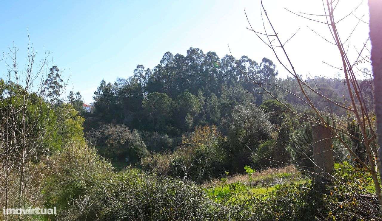 63000m2 Loteamento pré aprovado - Grande imagem: 4/9