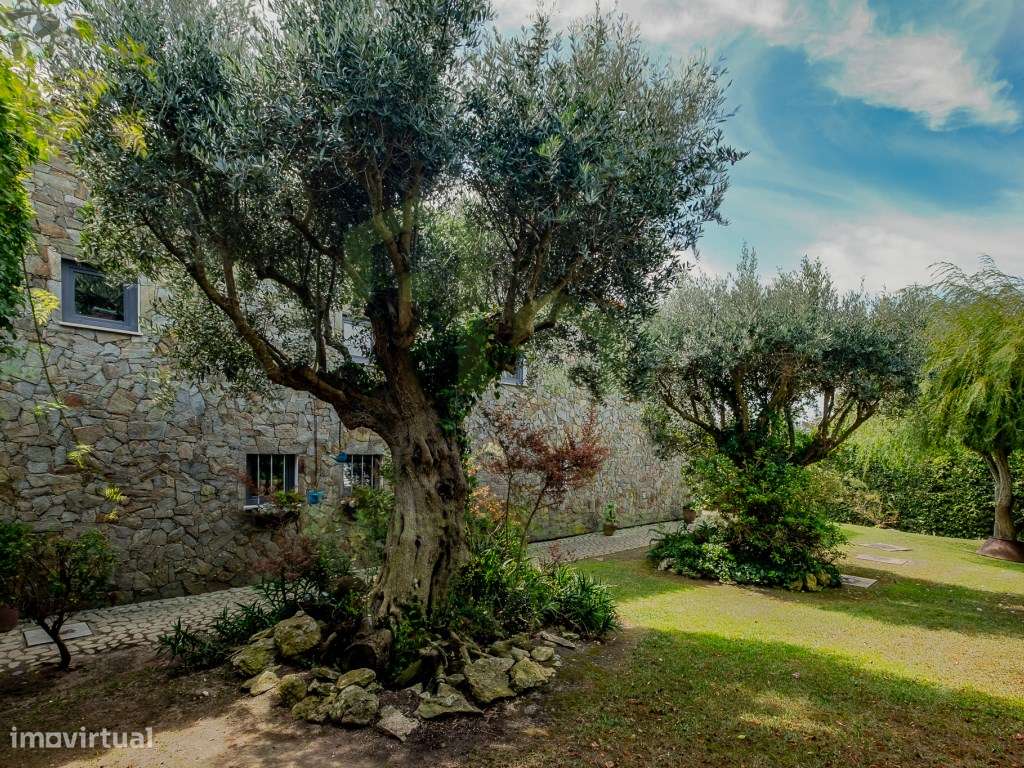 Vende Moradia T3, Ericeira 14 Km, A Casa das Casas-56