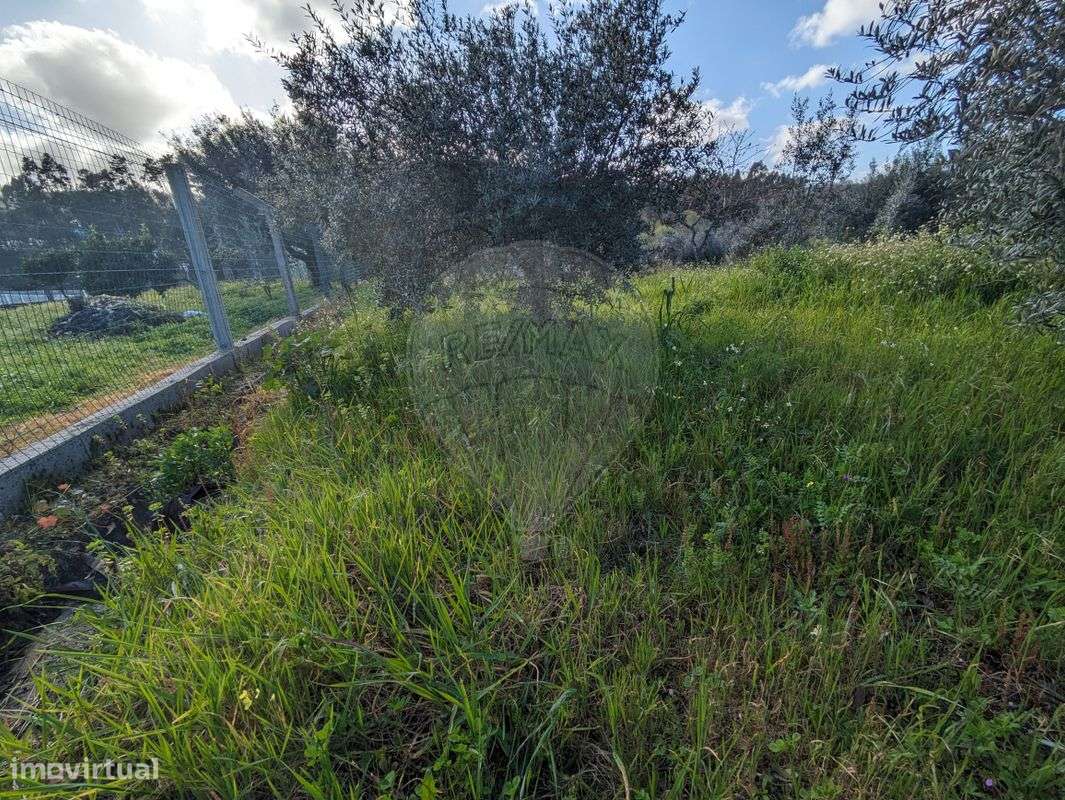 Terreno  para venda - Grande imagem: 5/16