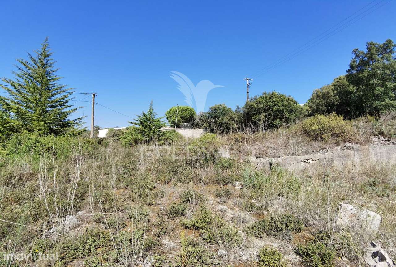 Terreno urbano  , localizado em Minde /Alcanena - Grande imagem: 3/20