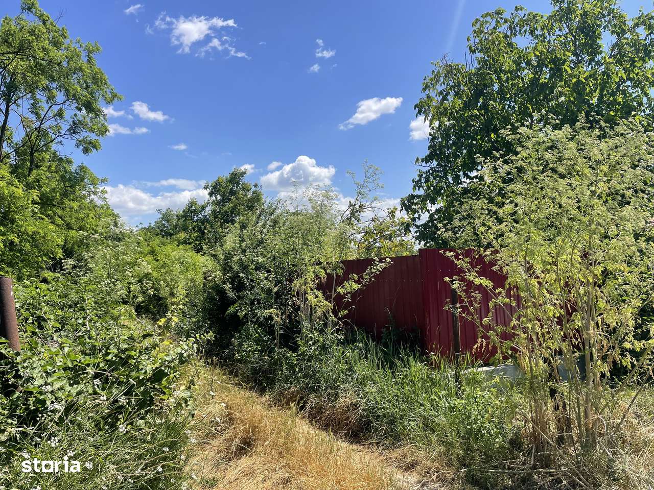 Teren Saucesti - Schineni - 1269 mp - Imagine principală: 5/5