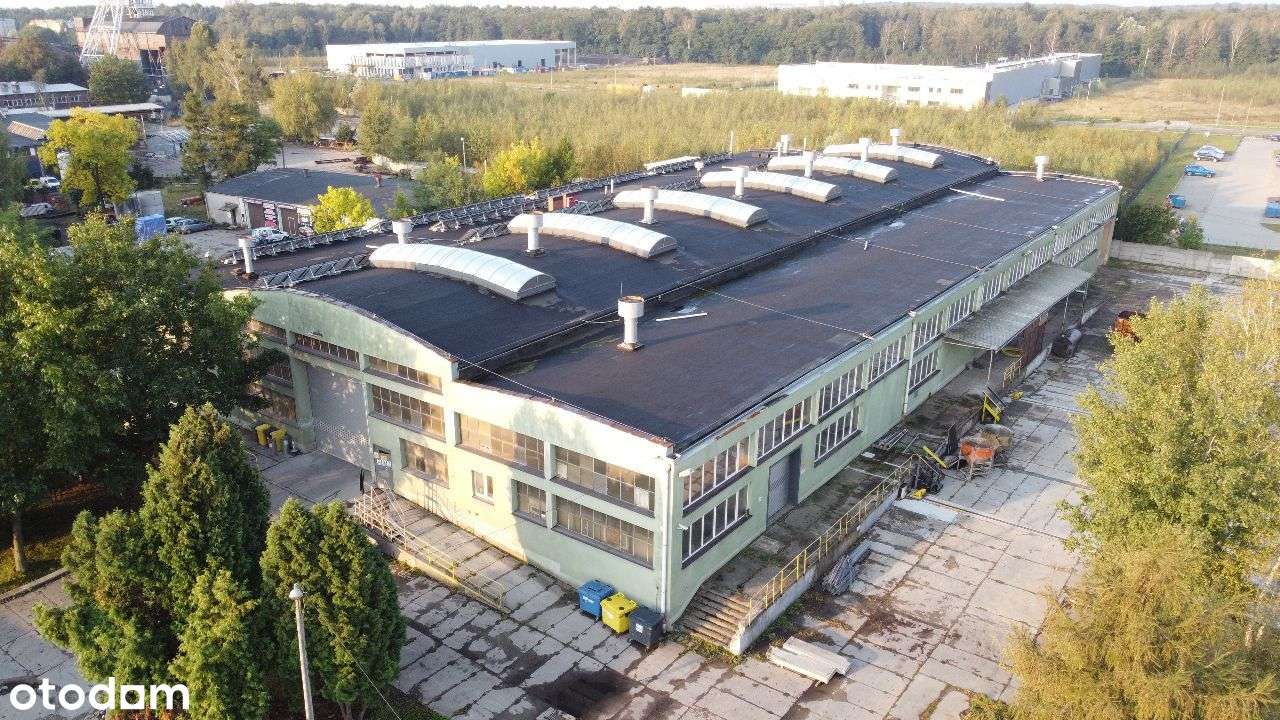 Hala po modernizacji z dużym placem i suwnicami - KSSE Bytom - Pełny obrazek: 2/14