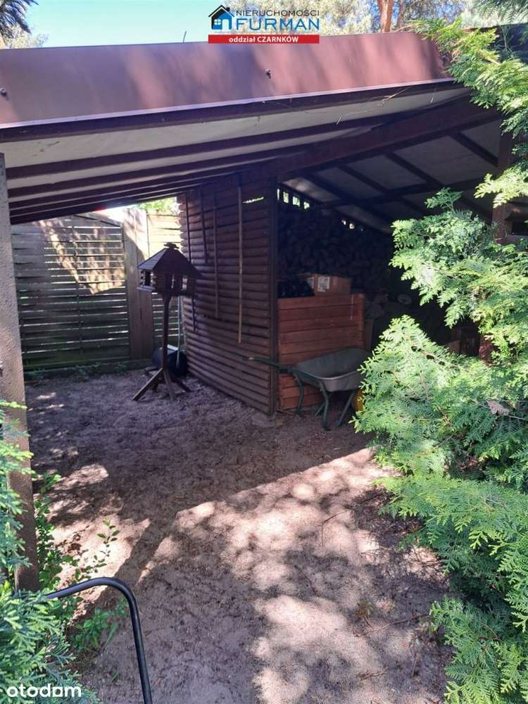 nieruchomość w Miałach gmina Wieleń - Pełny obrazek: 4/15