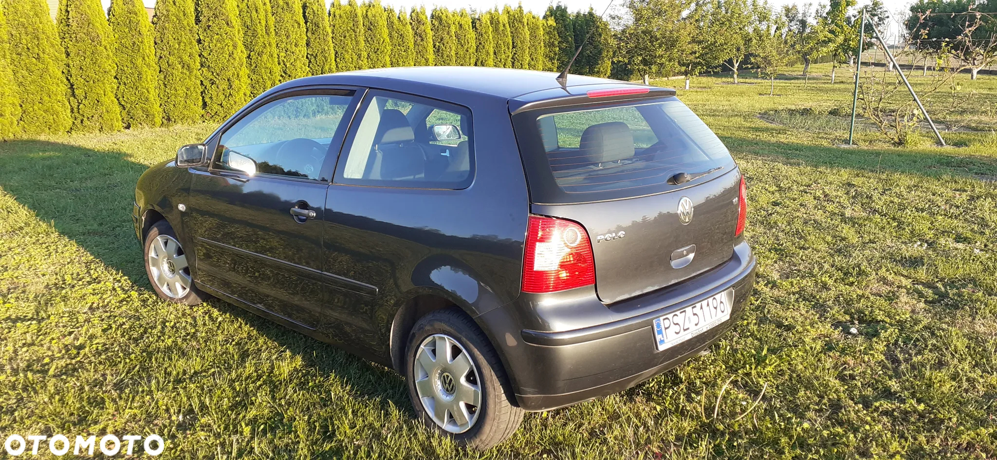 Volkswagen Polo - 3