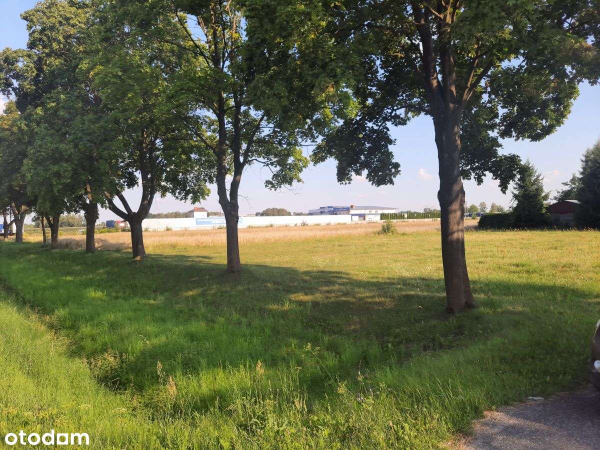 Błonie Działka Usługowa - Przemysłowa - Pełny obrazek: 4/6