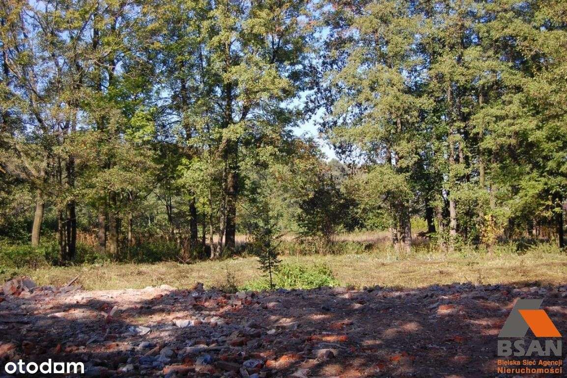 Działka, 5 200 m², Mazańcowice - Pełny obrazek: 4/20