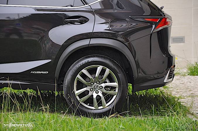 Lexus NX 300h Executive+ - 10