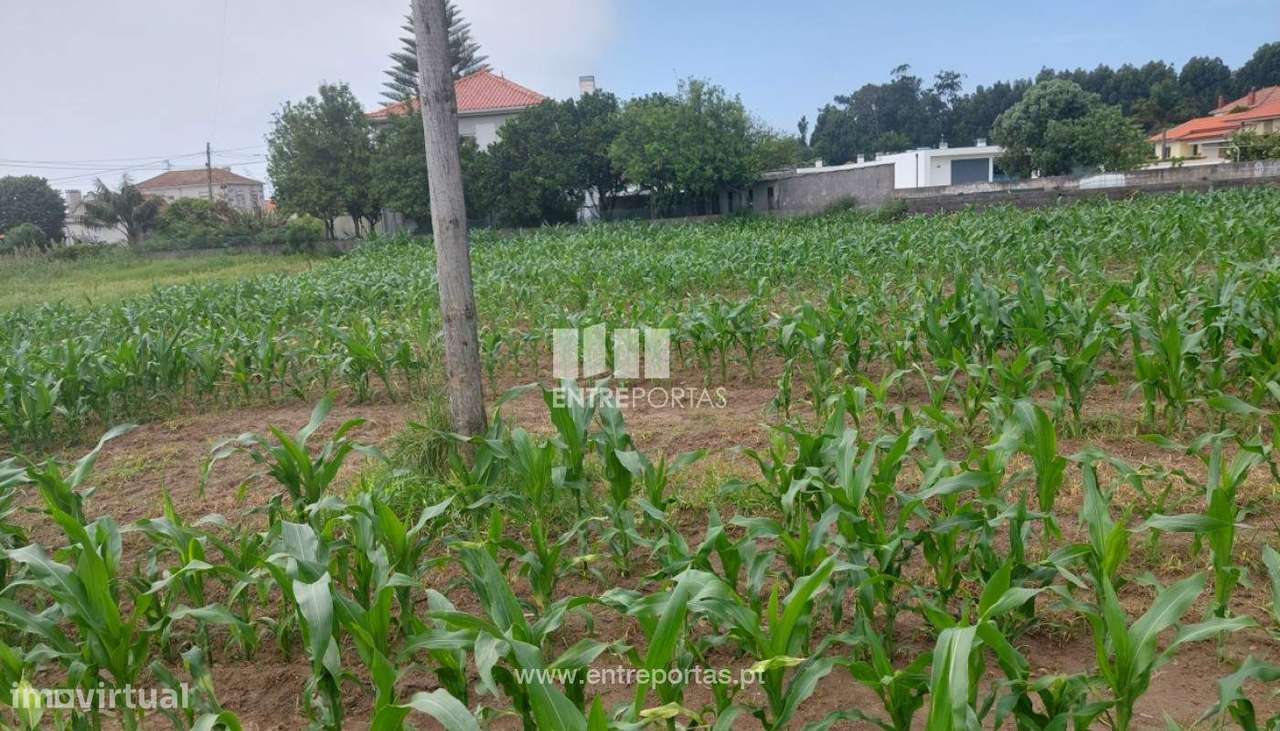 Venda de Terreno de construção, Carreço, Viana do Castelo. - Grande imagem: 4/25