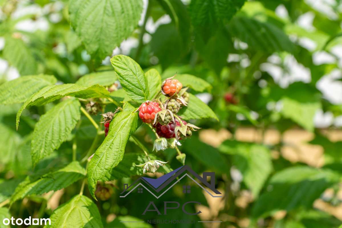 Mieszkanie parterowe z ogródkiem, garażem na osiedlu zamkniętym!-14