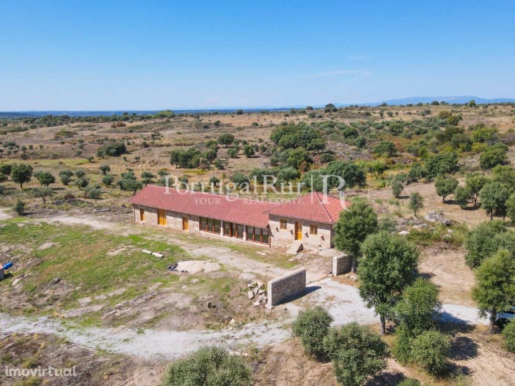 Quinta com casa em recuperação em Monsanto