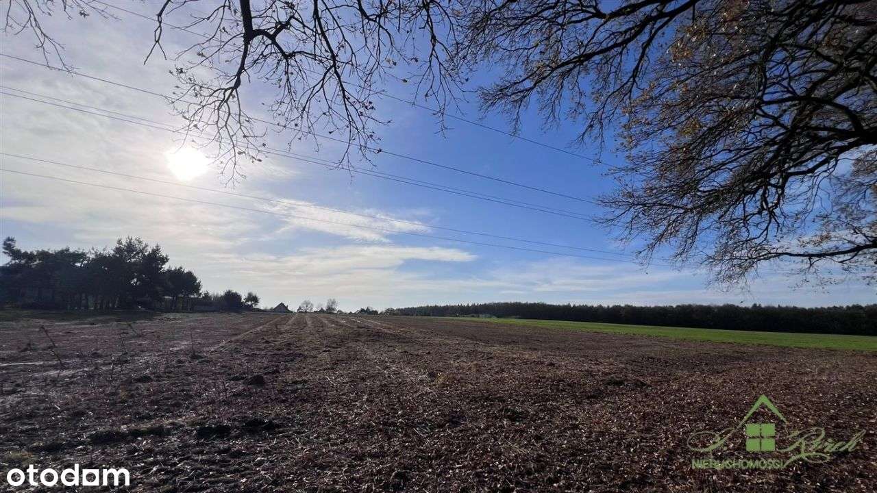 16 Działek Budowlanych – Orzesze, Ul. Truskawkowa-5