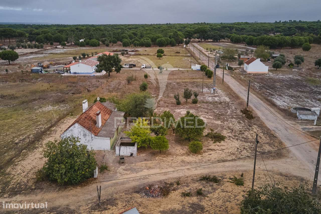 Monte Alentejano para Recuperar - Grândola - Grande imagem: 2/40