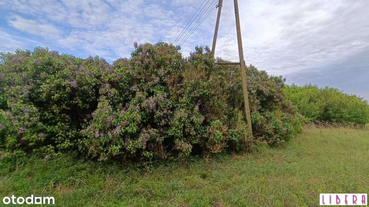 Tylko u nas! Dzialka bydowlana, Januszkowo-2