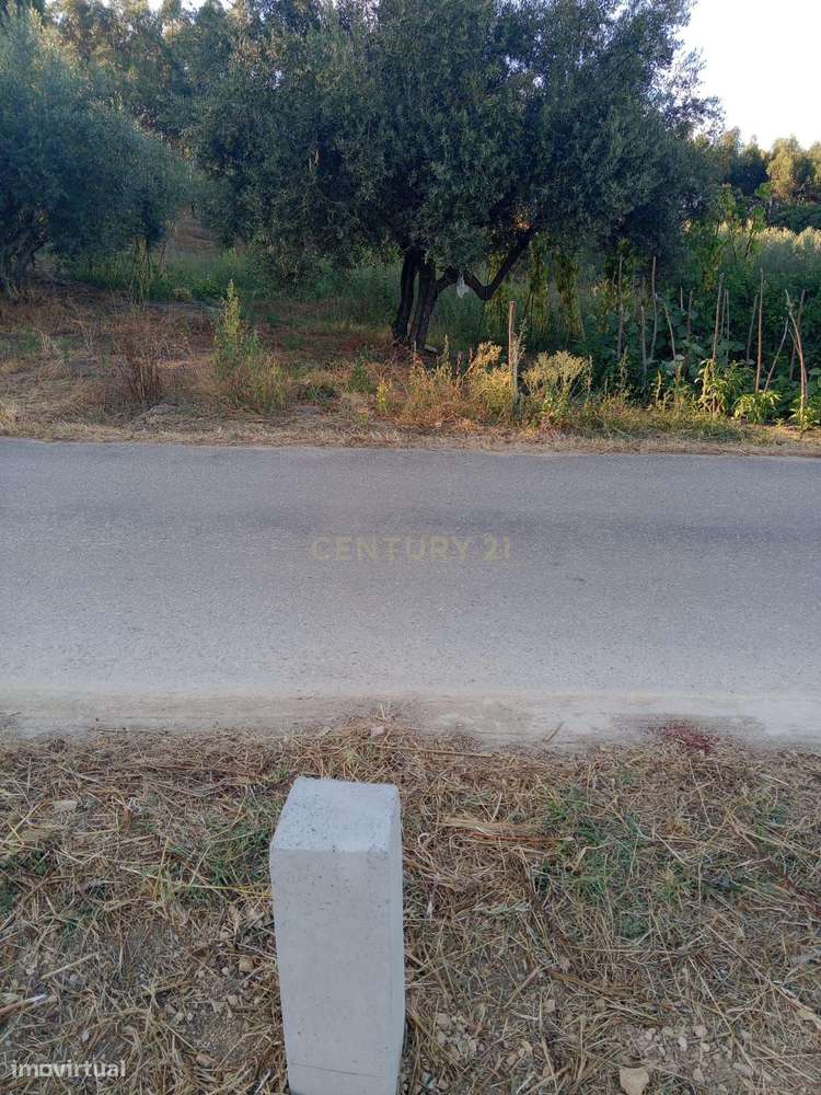 Terreno com projecto aprovado, no Cidral, em Rio Maior-5