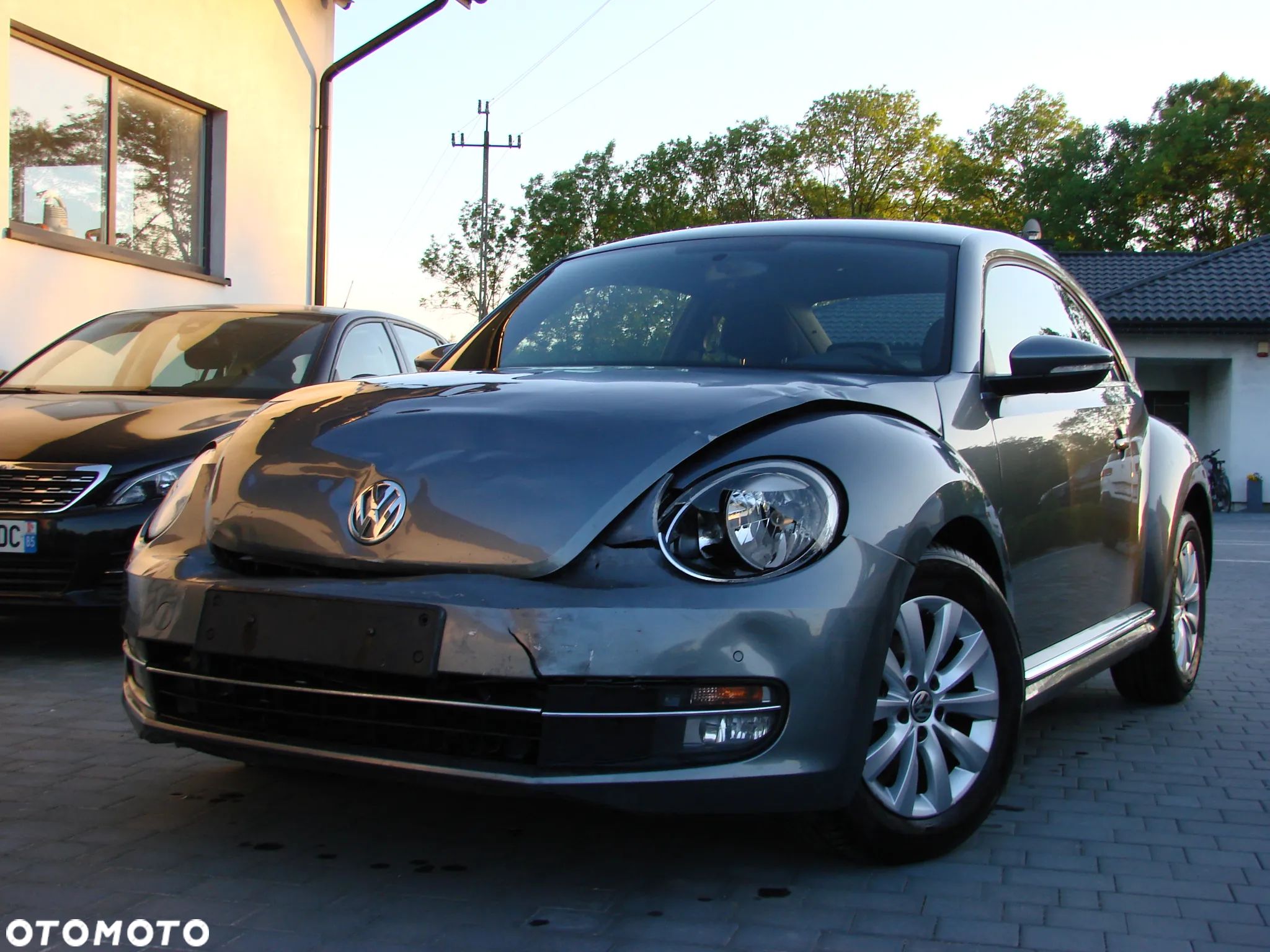 Volkswagen Beetle - 1