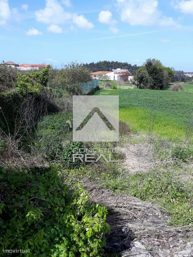 Terreno rústico c/ viabilidade de alterar p/ urbano (2620 m2) - Vila d - Grande imagem: 5/5