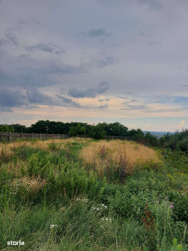 Sf.Ilie-Teren imprejmuit 10 ari,cu utilatati,pret 78000Euro. - Imagine principală: 4/4