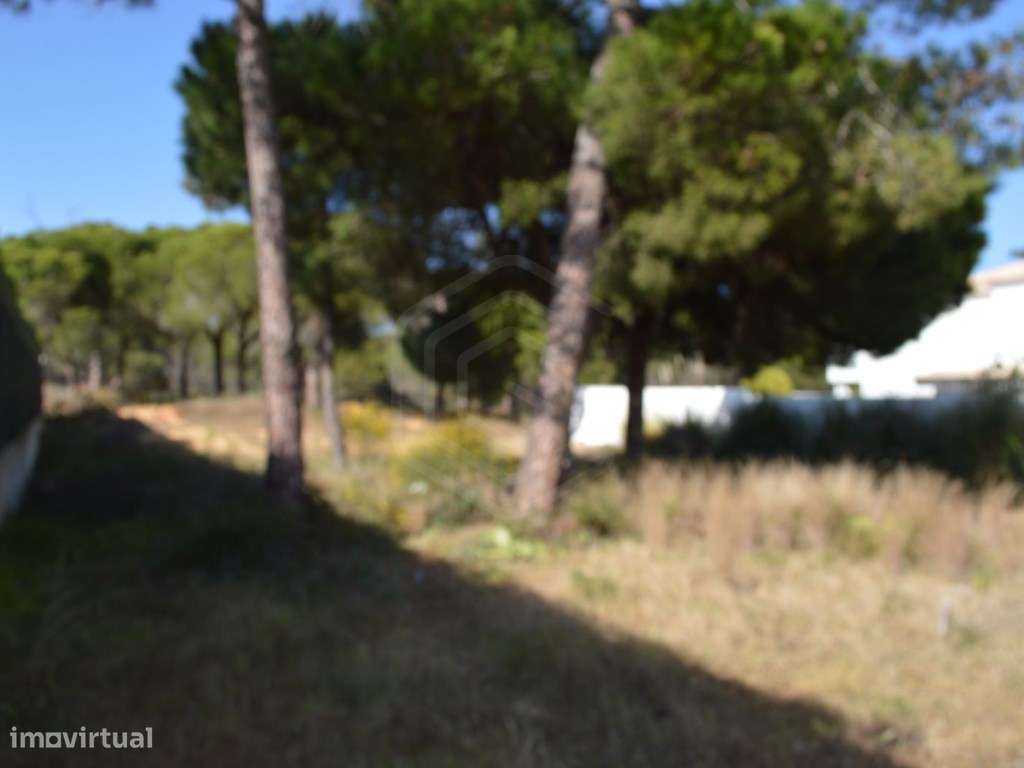 Terreno urbano perto da Praia, Almancil, Algarve - Grande imagem: 4/14
