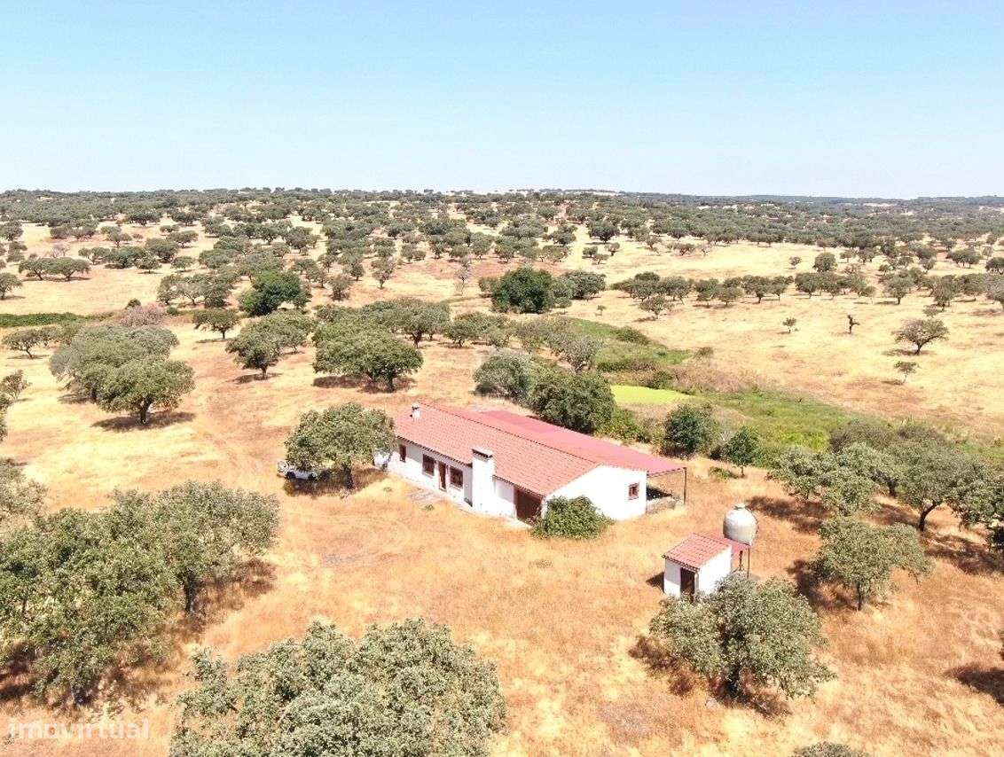 Herdade do Castelo Novo-6