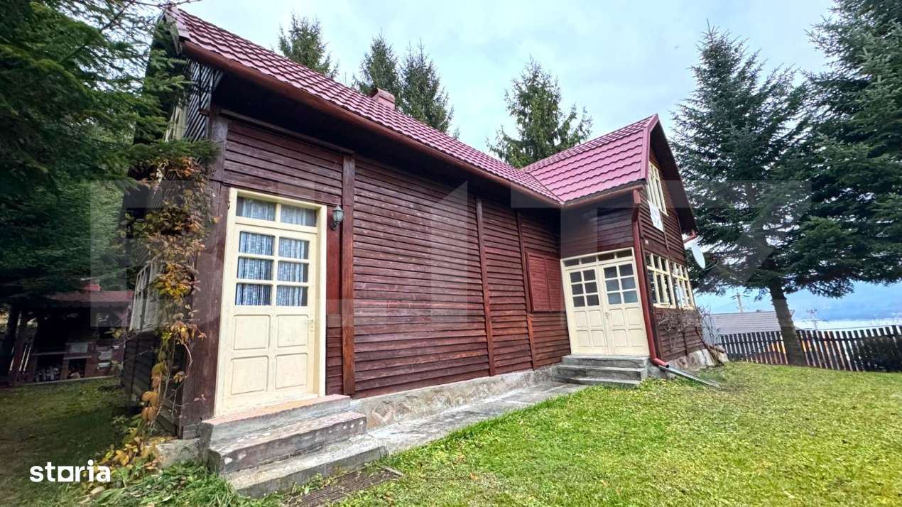 VAND CASA DE VACANTA LA COLIBITA, CU VEDERE SPRE LAC - Imagine principală: 2/19