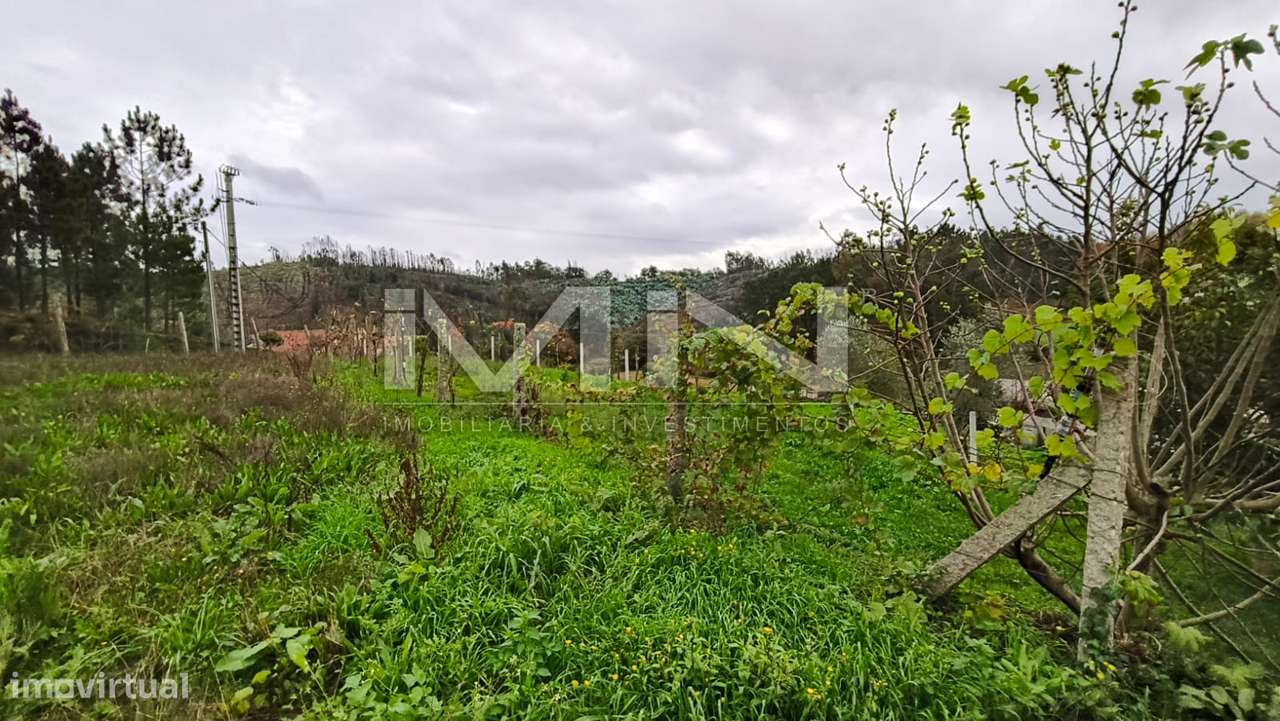 Terreno murado para construção -1299m2-18