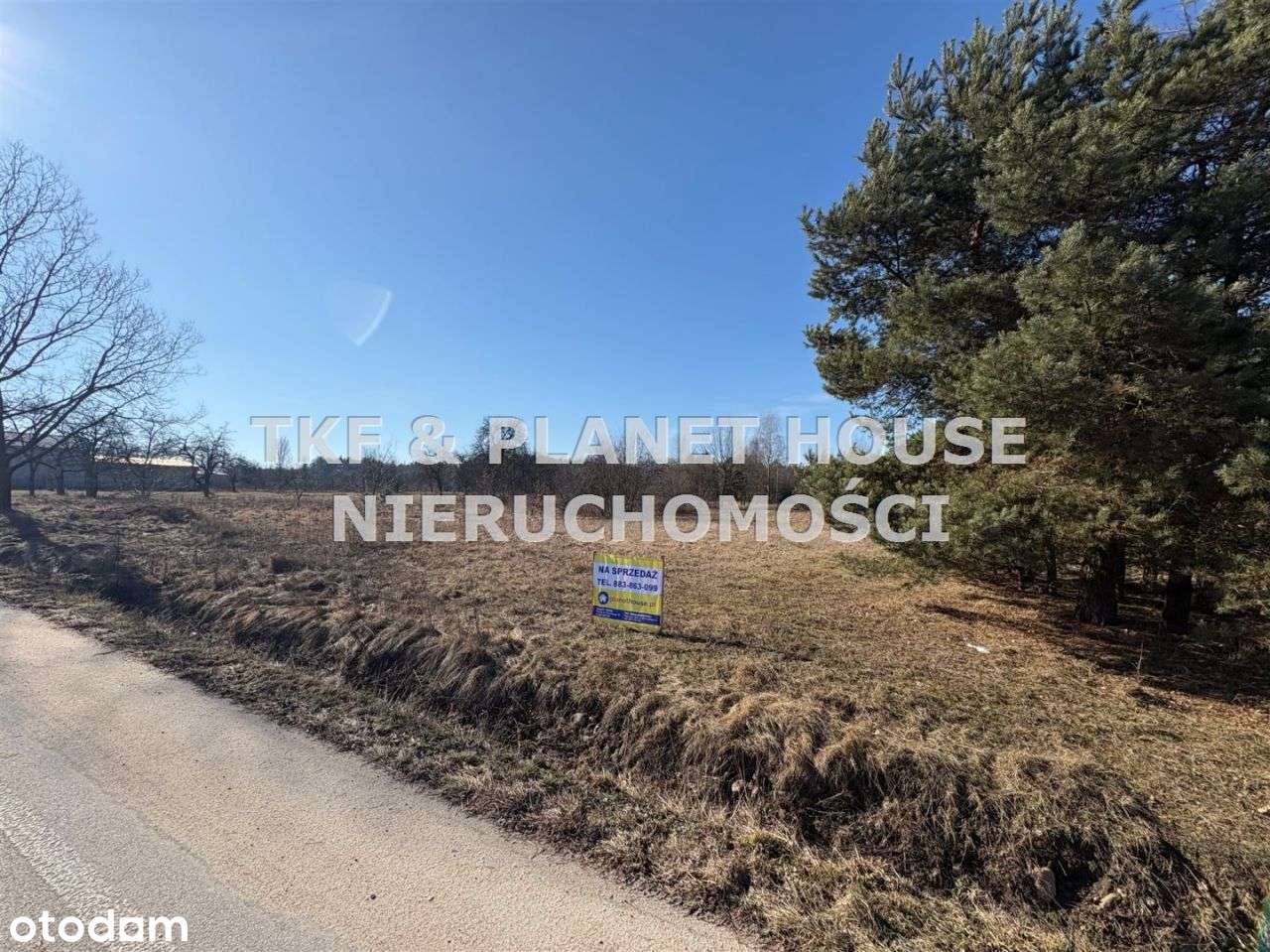 Działka Modrzew 2900m2 - Pełny obrazek: 4/5
