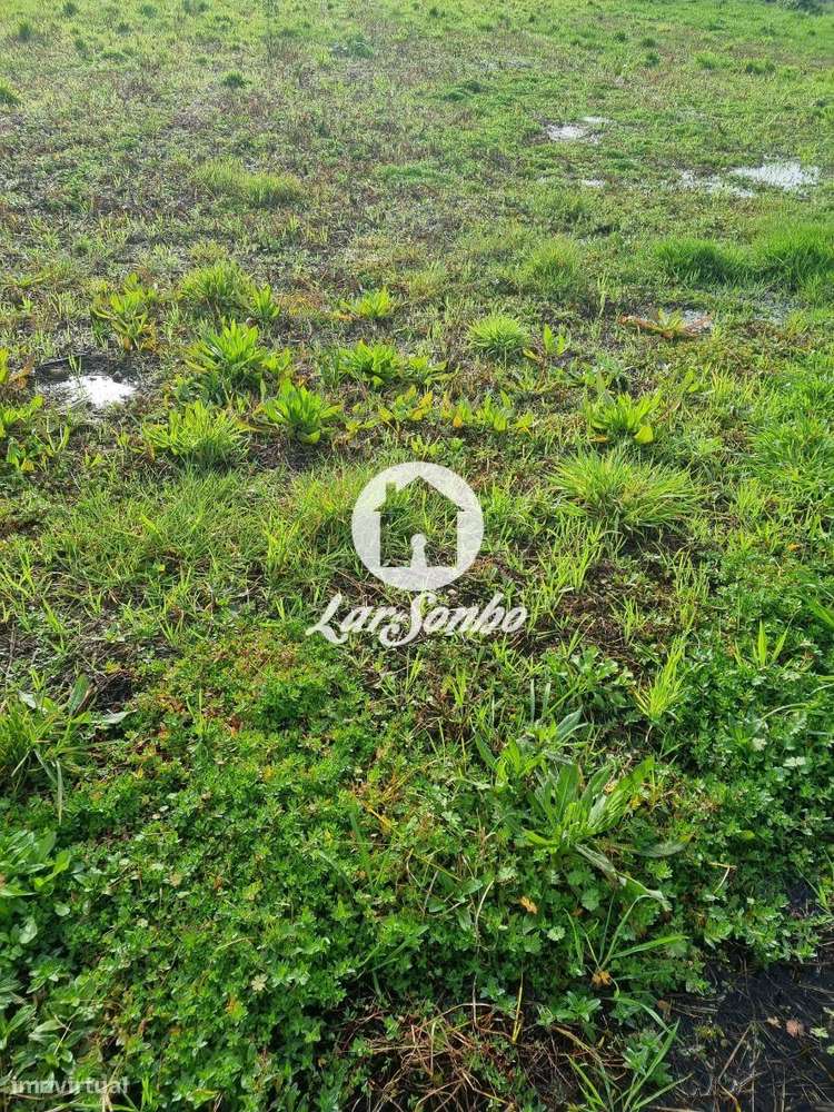 Excelente terreno em Esposende para Construção de Moradias-11