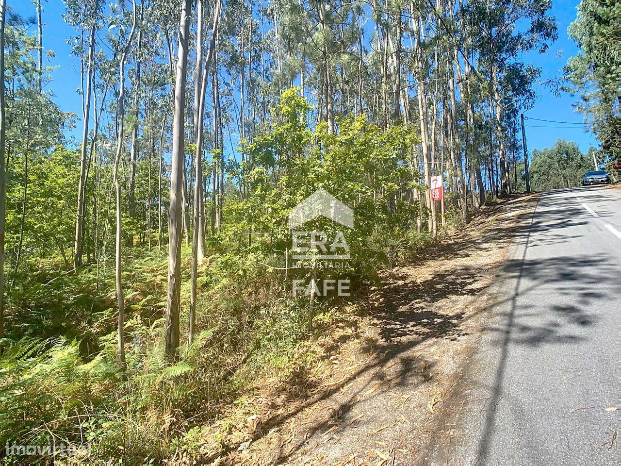 Terreno com 1.400m2 em Ardegão, Fafe - Grande imagem: 5/6